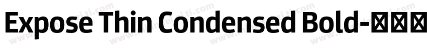 Expose Thin Condensed Bold字体转换